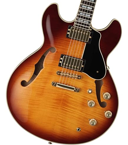 Amazon | ヤマハ YAMAHA エレキギター REVSTAR RS420 MYG
